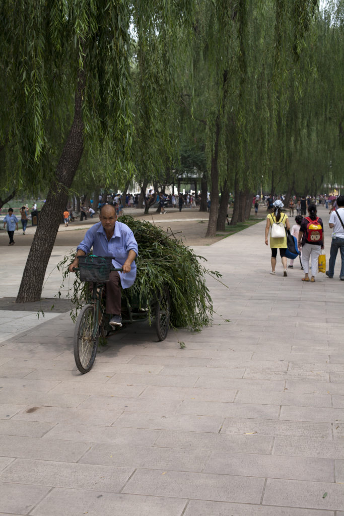 (2015) Beijing